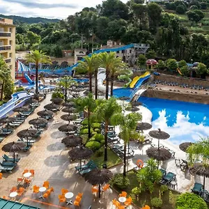 book here
